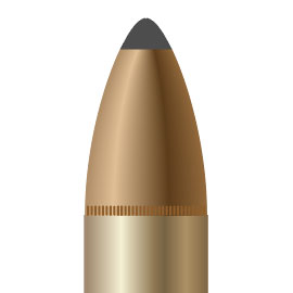 22-250 Cartridge